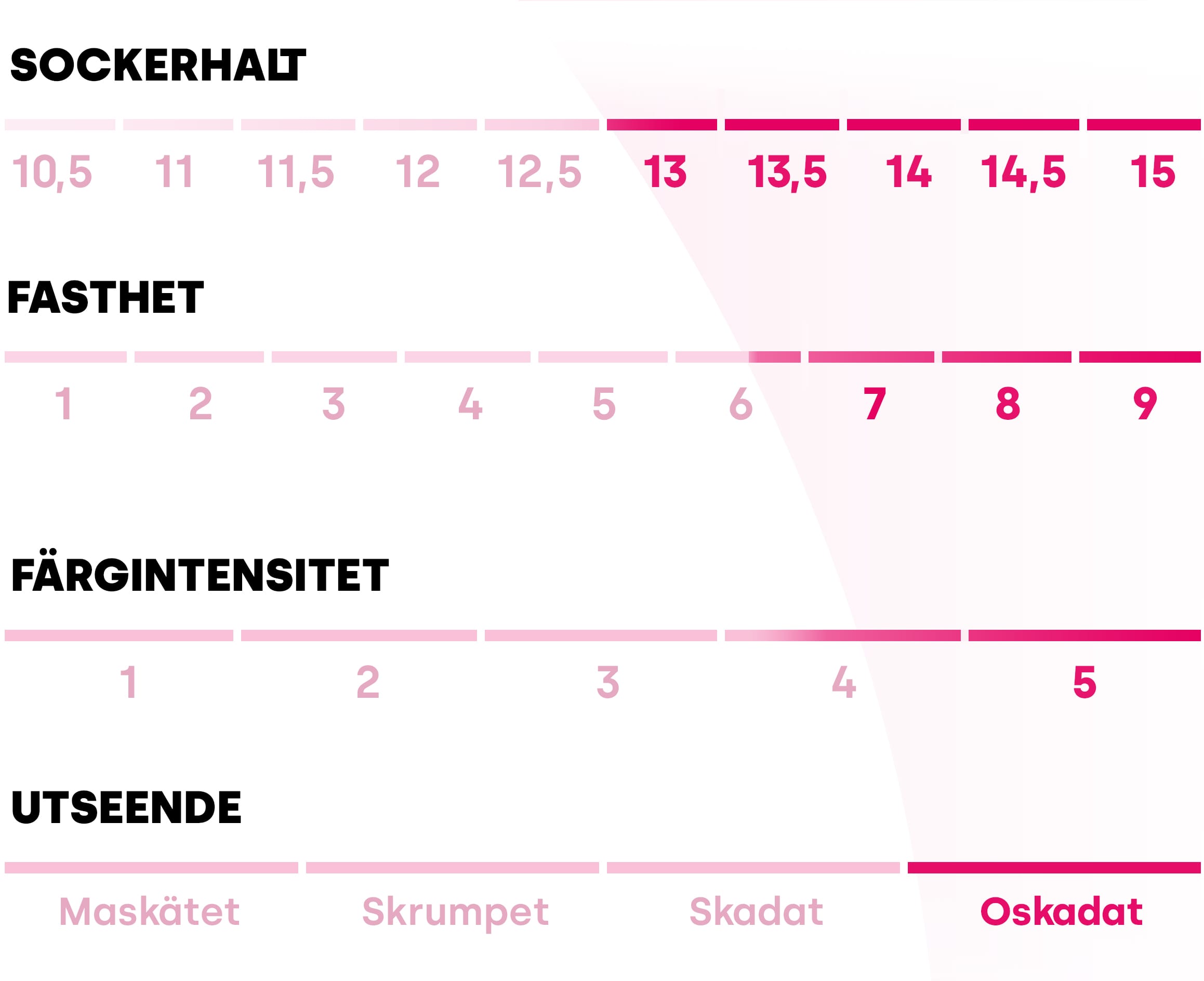 Tabell som beskriver Pink Lady®-äpplets olika värden. Sockerhalt: 13/15, fasthet: 6,5/9, färgintensitet: 4,5/5 och utseende: hälsosamt.